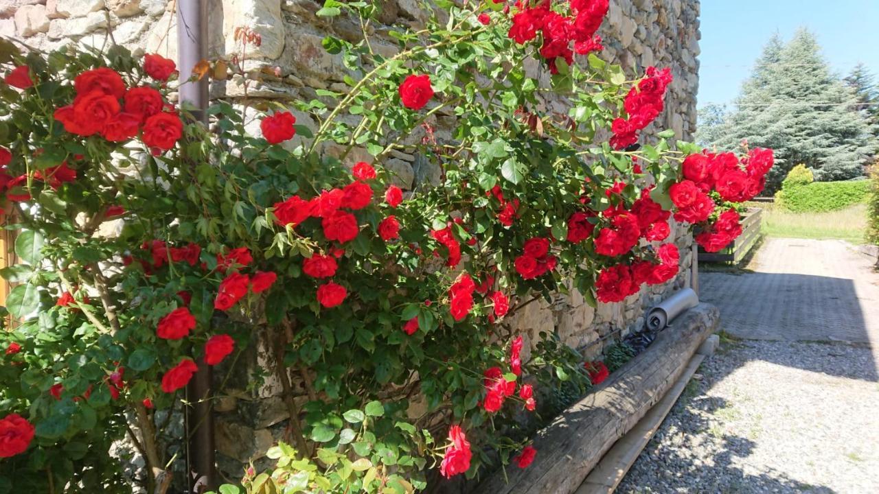 فيلا Casa Delle Rose تيجليو المظهر الخارجي الصورة